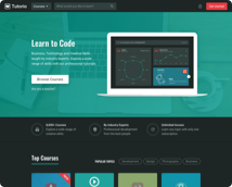 Teal Dark